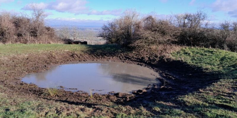 Pounds for Ponds