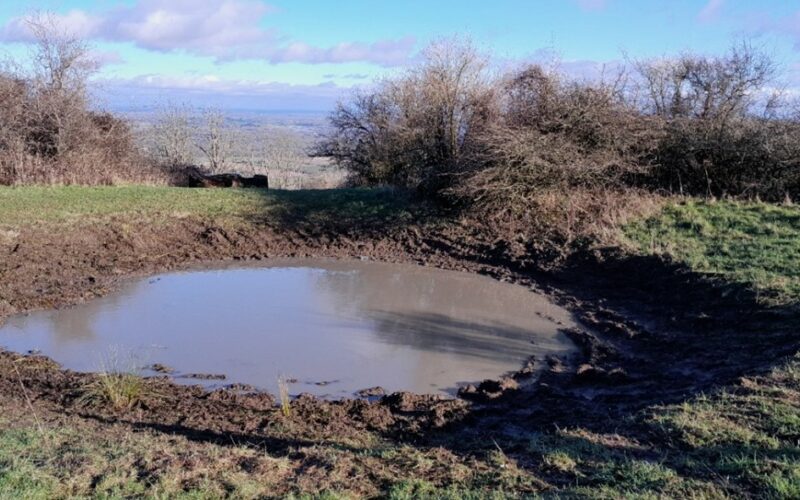 Pounds for Ponds