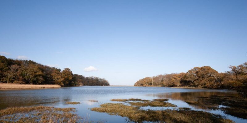 Palmers Brook Nature Reserve