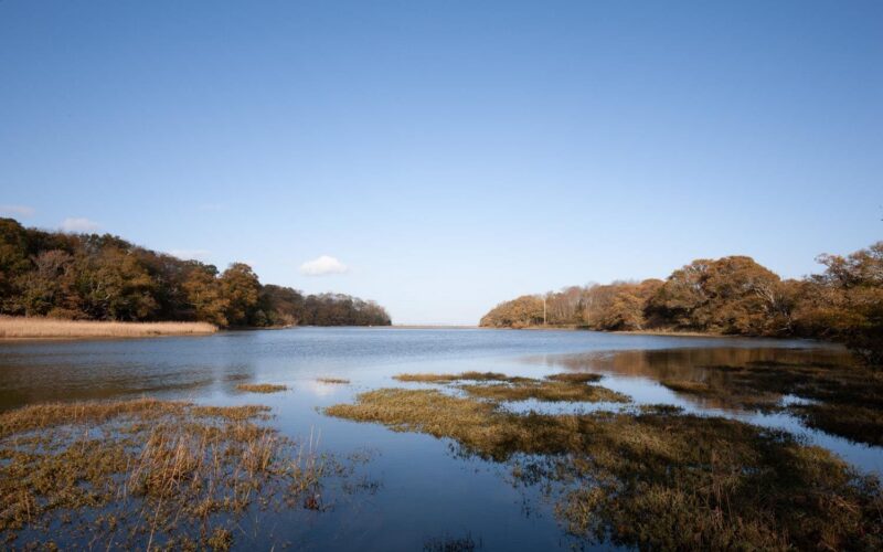 Palmers Brook Nature Reserve
