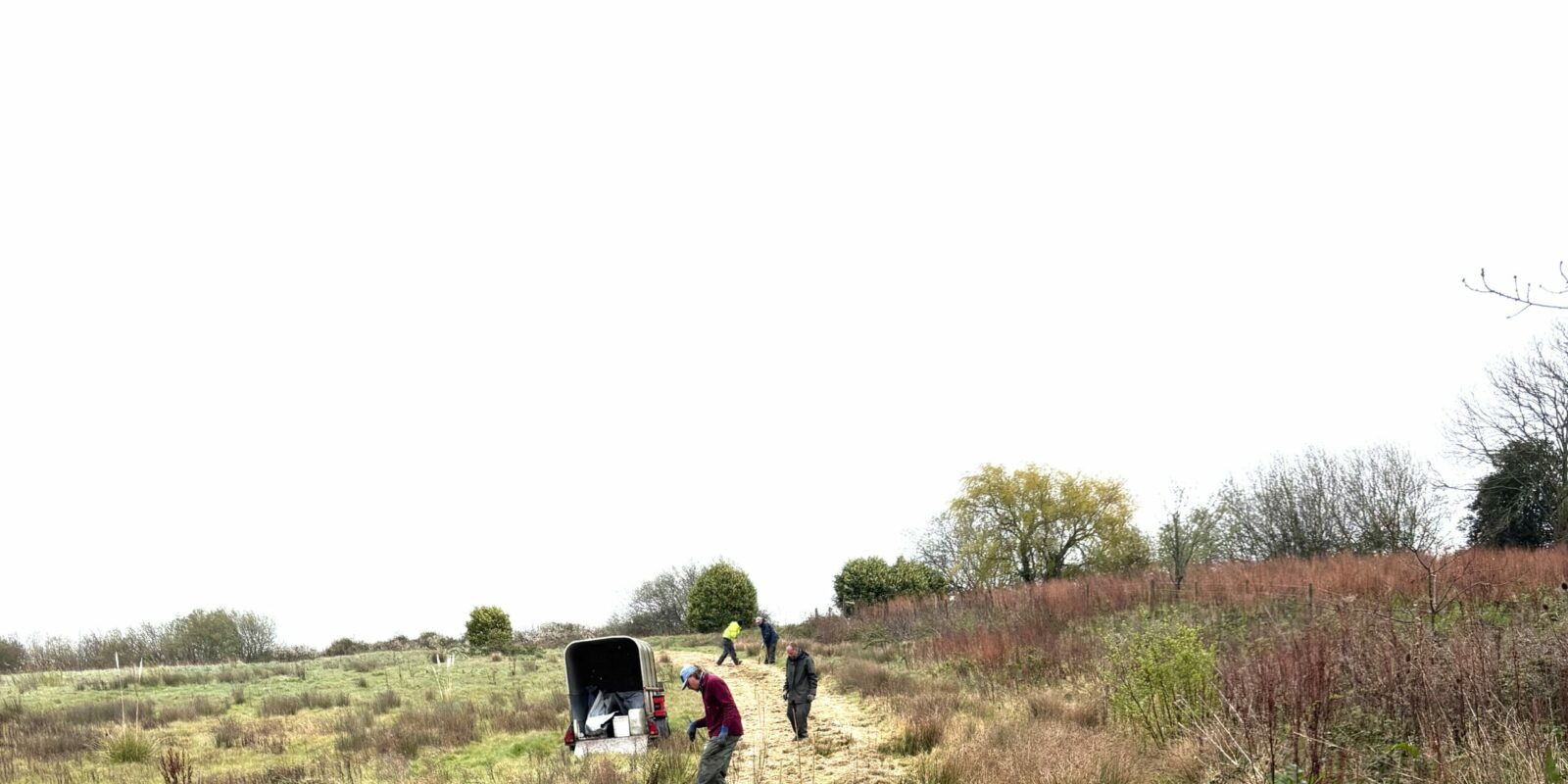 Hedging at Palmers Brook Nature Reserve