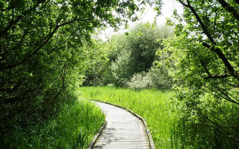 Winchester Youth Counselling Walk and Talk Therapies